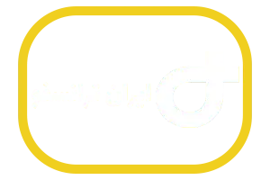 iran transfo